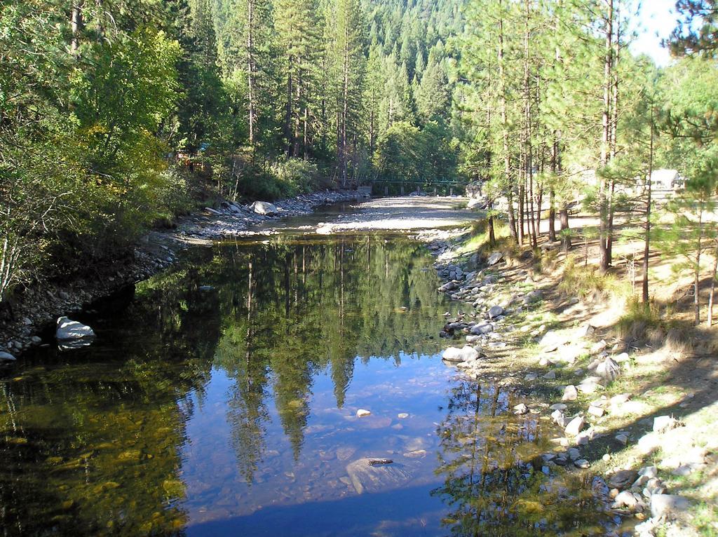 Yosemite Lakes Bunkhouse Cabin 27 Harden Flat Екстер'єр фото